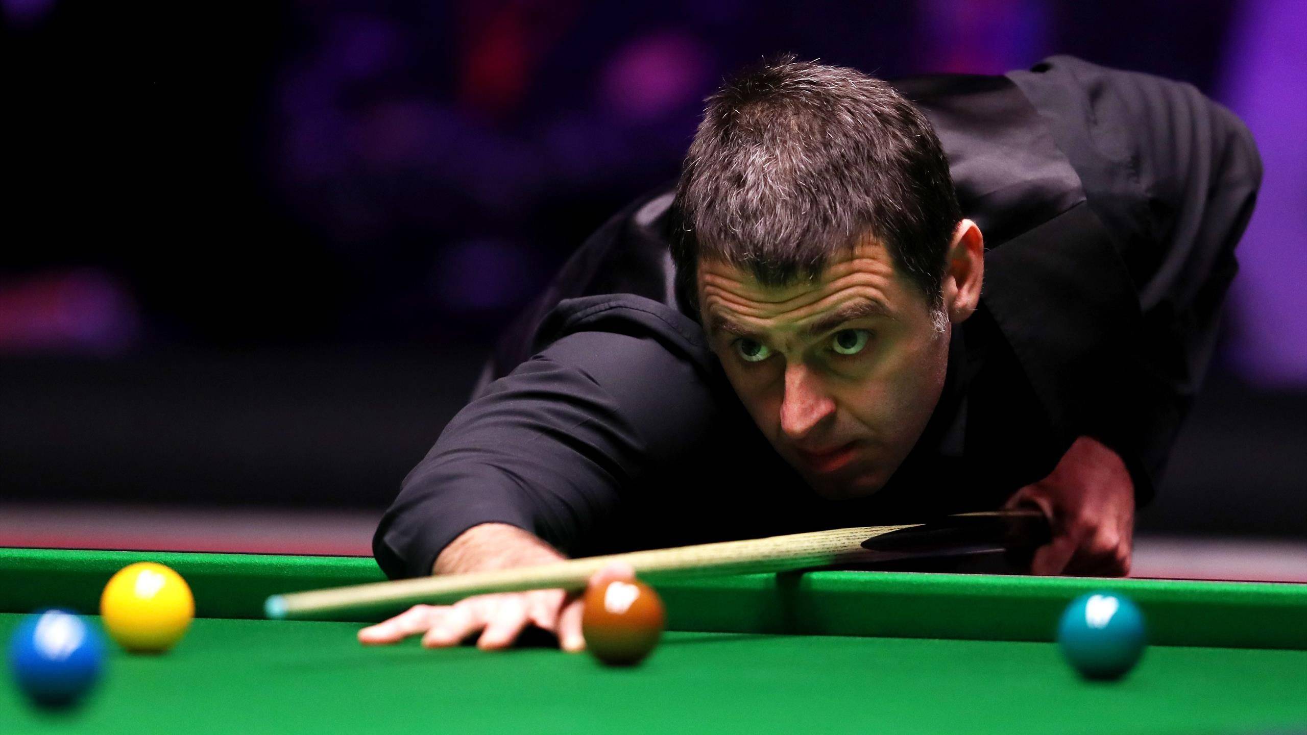 在未来将会 在未来将会